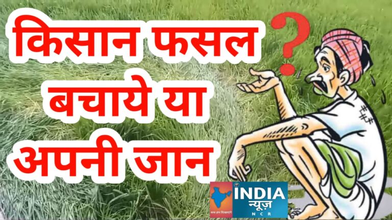 WhatsApp Image 2025-01-16 at 8.45.27 AM