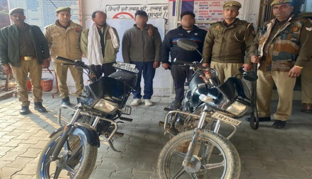 WhatsApp Image 2025-01-23 at 4.39.56 AM