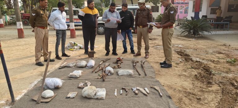 WhatsApp Image 2025-11-24 at 4.16.50 AM